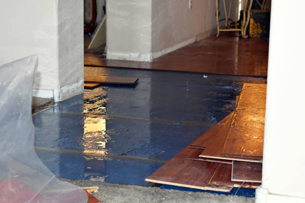 Professional Burst Pipe Cleanup technician working in Northport, WA